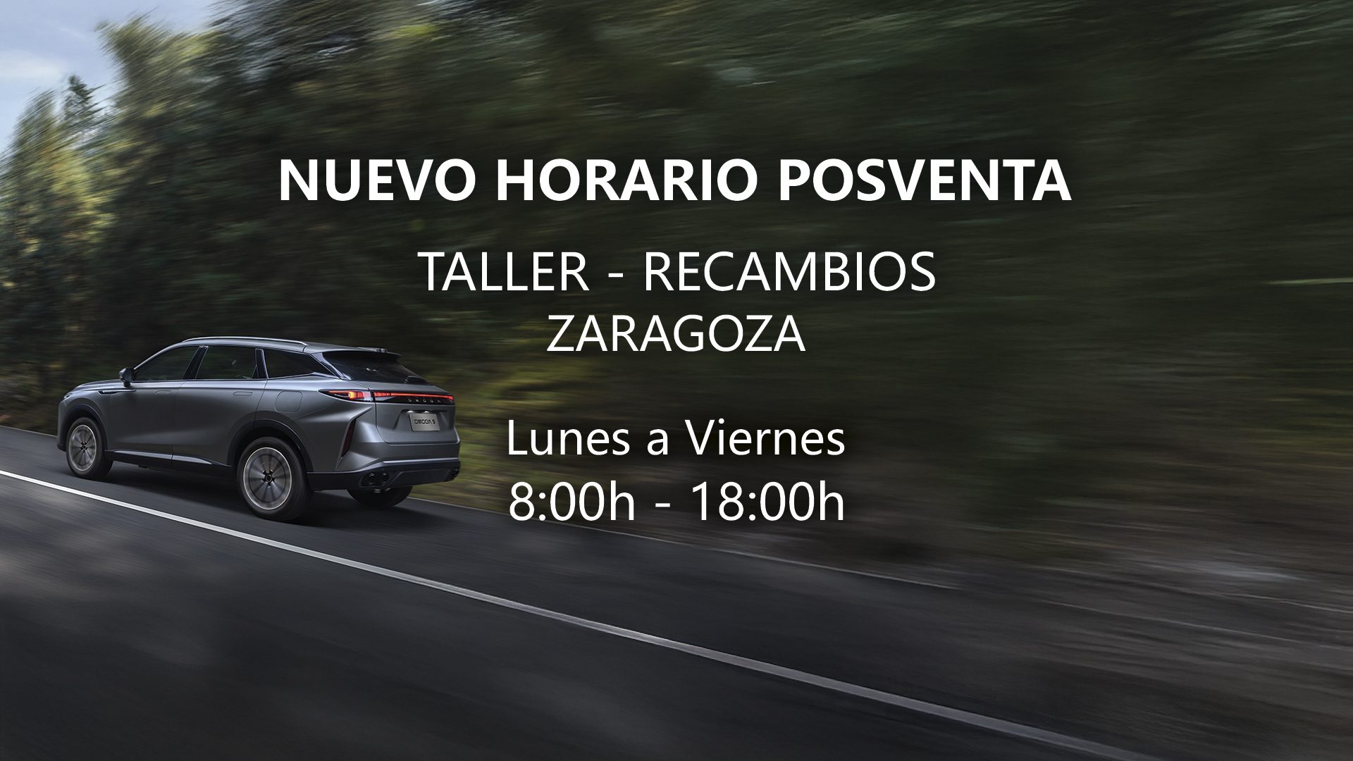 Zen Motor horario Zaragoza